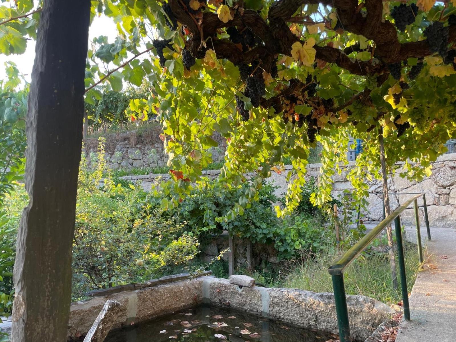 Villa Quintinha De Pinouco à Resende Extérieur photo